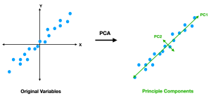Kernel Density Estimation: Non Parametric Estimation of Probability Density Functions